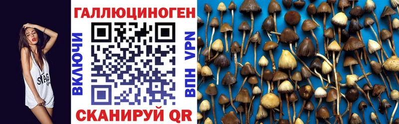 купить наркотики сайты  Енисейск  Галлюциногенные грибы MAGIC MUSHROOMS 